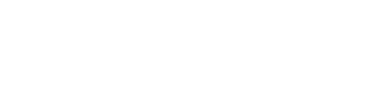 NetPunch